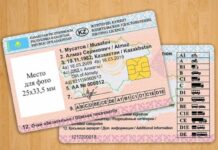 Шымкентте жүргізуші куәлігін сатып келген қылмыстық топ ұсталды