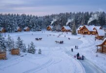 Солтүстік Қазақстанда демалатын ТОП-5 орын